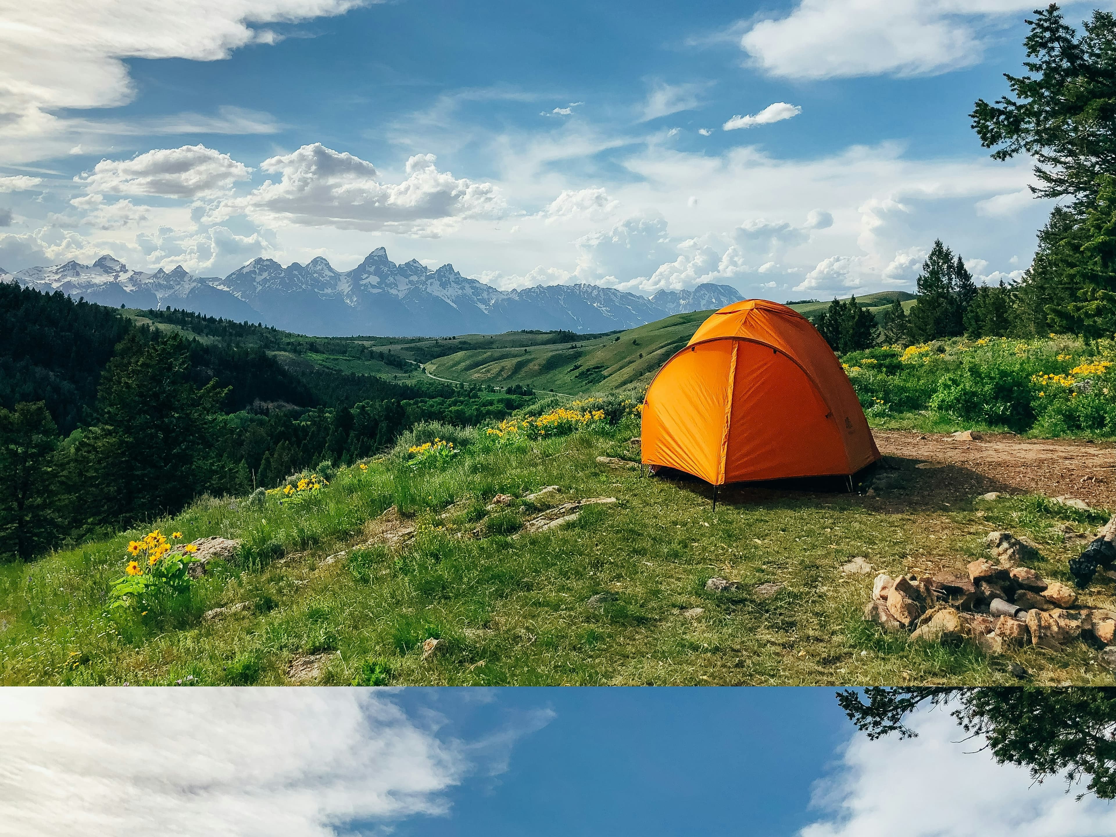 트렌드형 숙박시설 운영